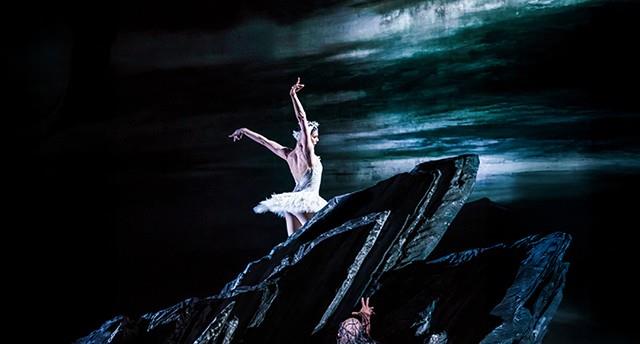 ROH: SWAN LAKE