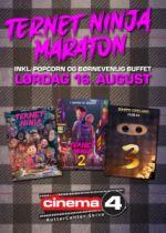 Ternet Ninja Maraton